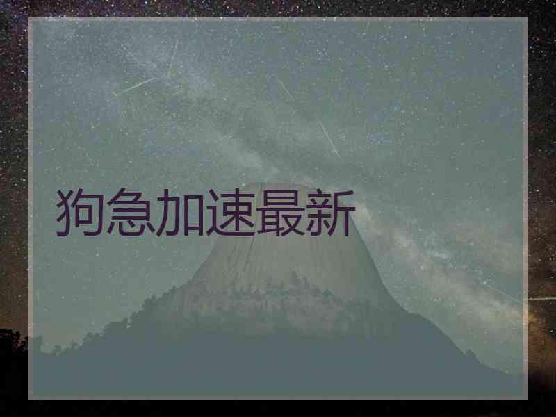 狗急加速最新