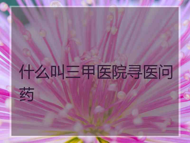 什么叫三甲医院寻医问药