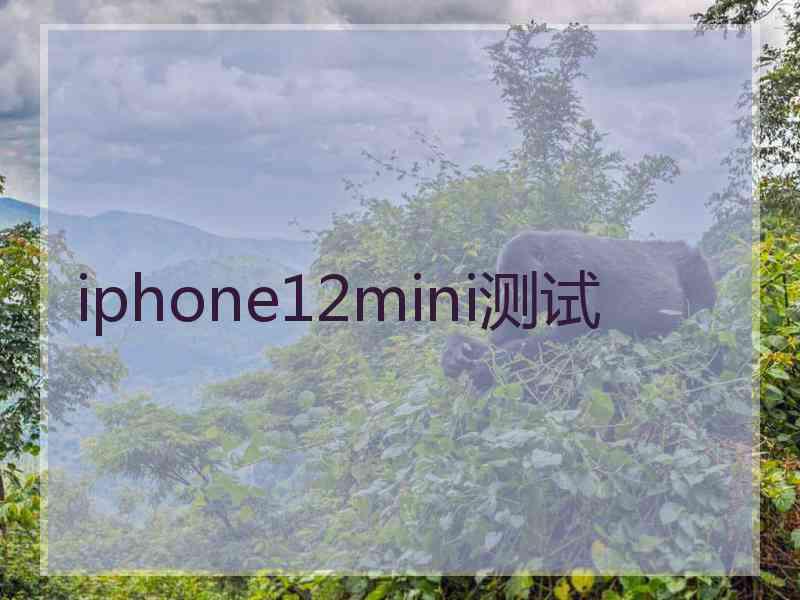 iphone12mini测试