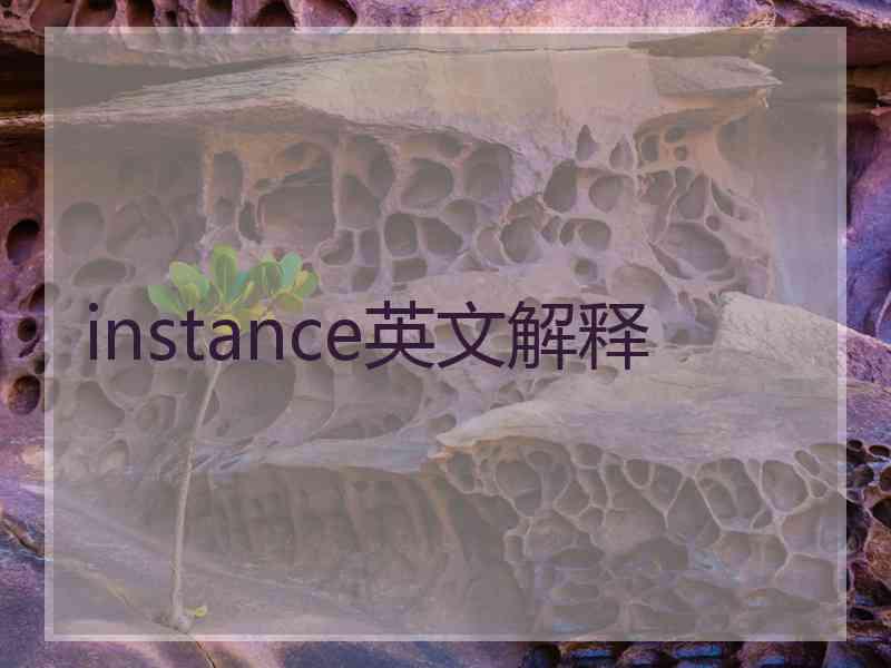 instance英文解释