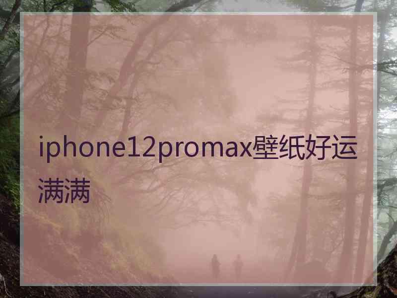 iphone12promax壁纸好运满满