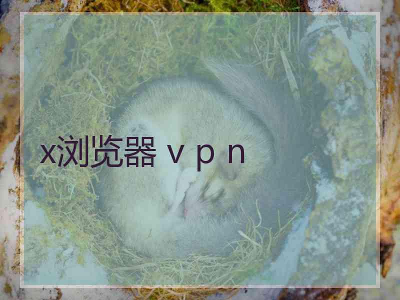 x浏览器 v p n