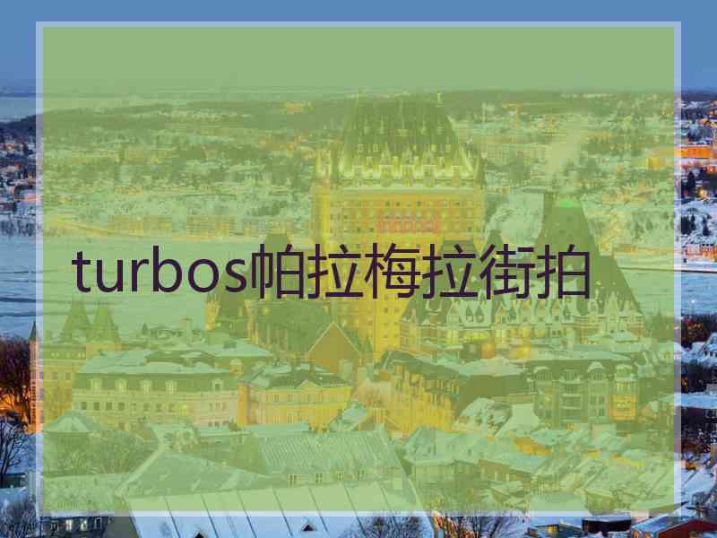 turbos帕拉梅拉街拍