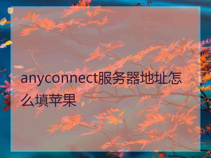 anyconnect服务器地址怎么填苹果