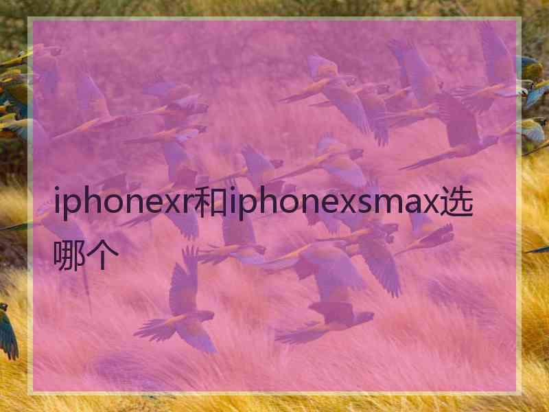 iphonexr和iphonexsmax选哪个