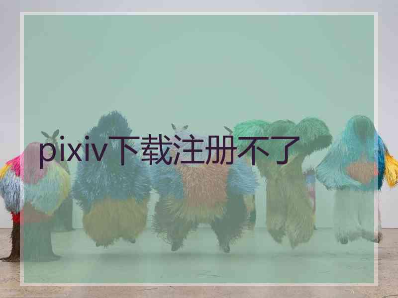 pixiv下载注册不了