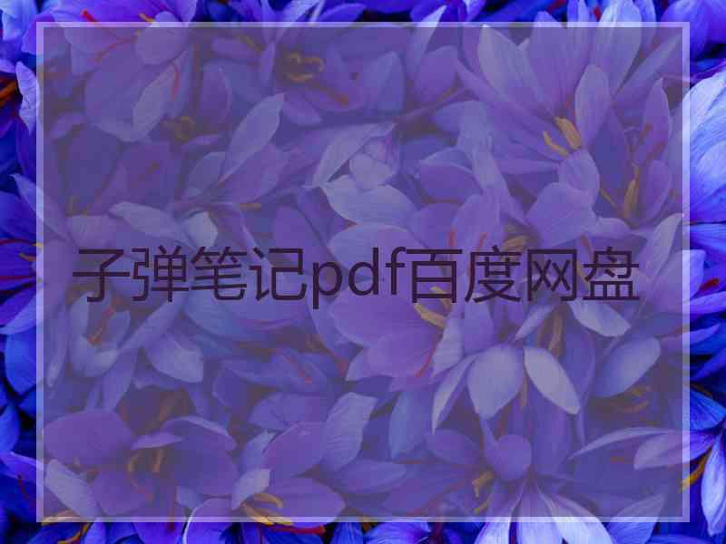 子弹笔记pdf百度网盘