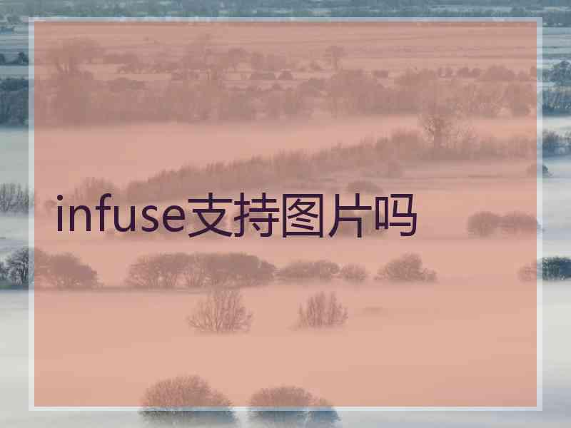 infuse支持图片吗