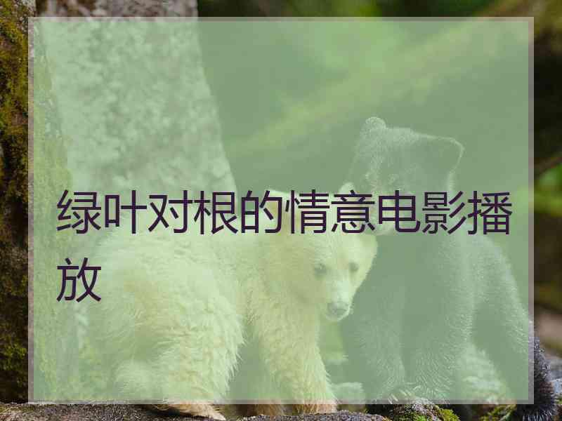 绿叶对根的情意电影播放