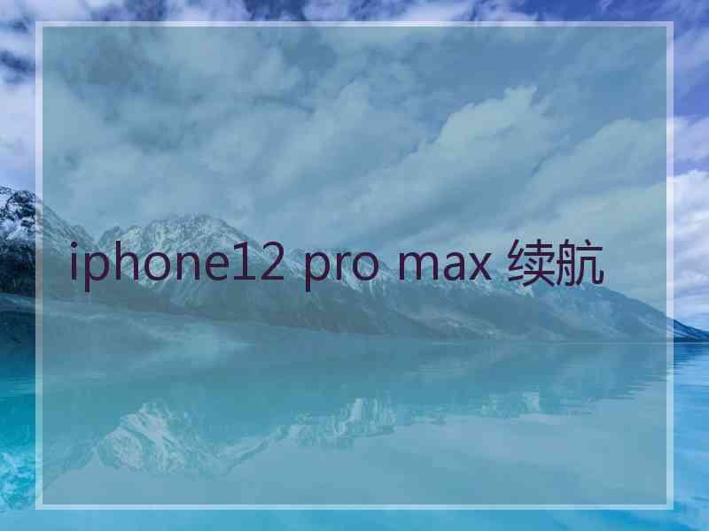 iphone12 pro max 续航