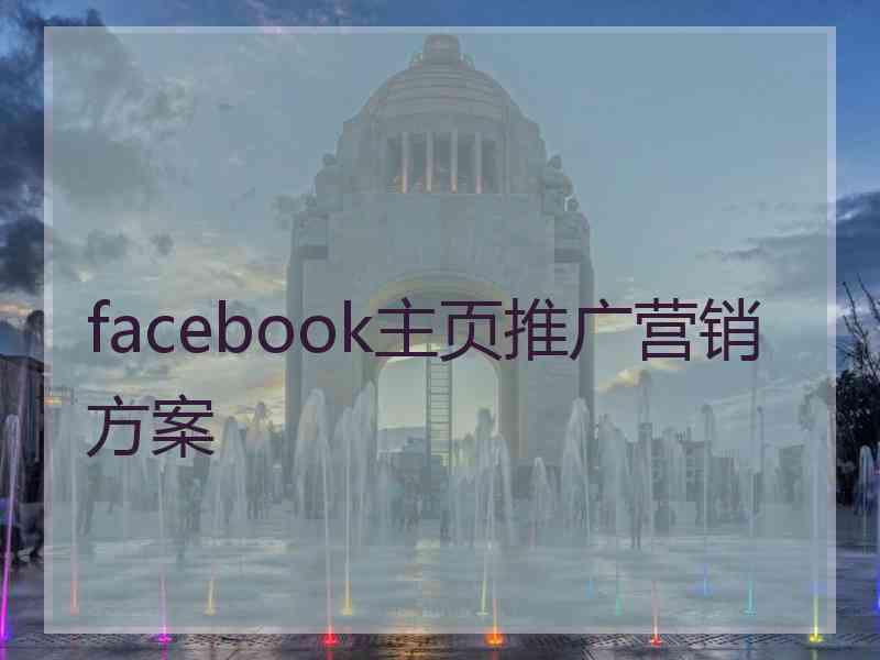 facebook主页推广营销方案