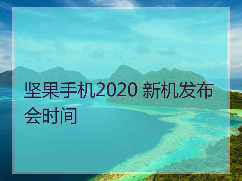 坚果手机2020 新机发布会时间