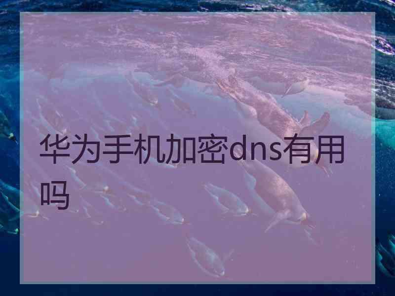 华为手机加密dns有用吗