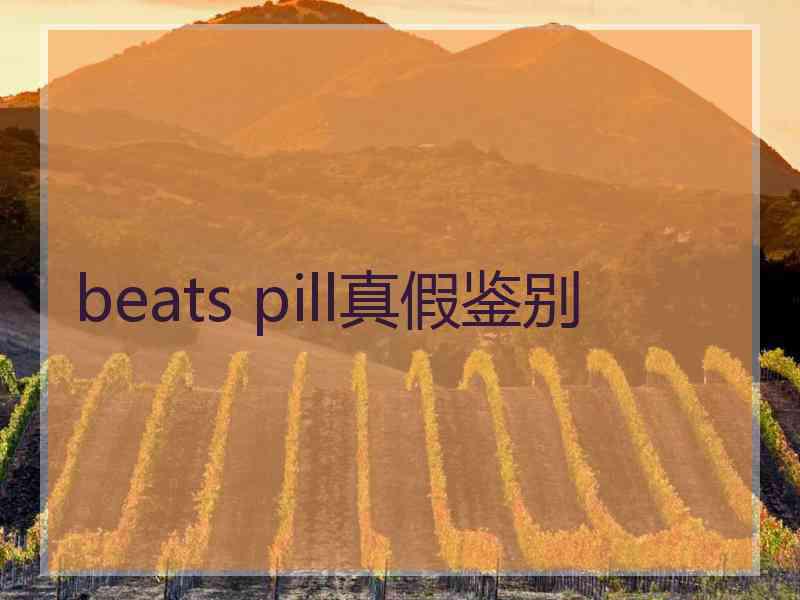 beats pill真假鉴别