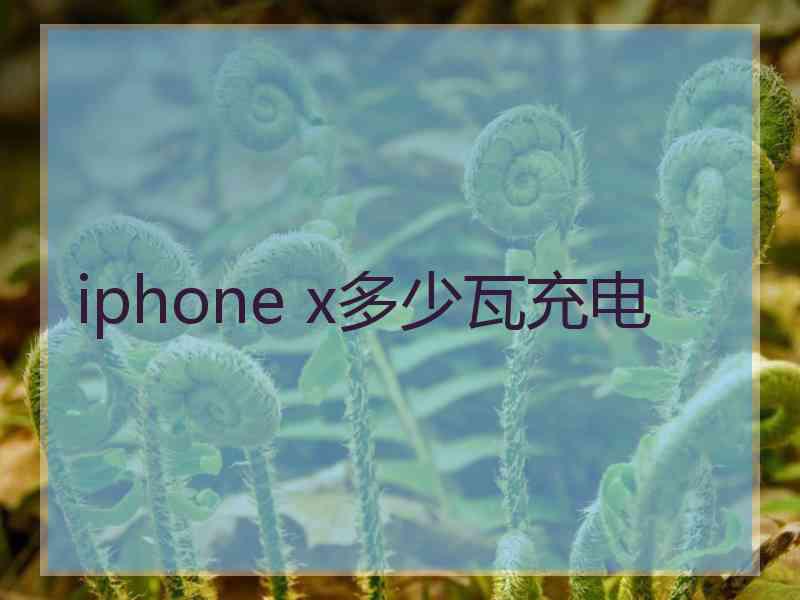 iphone x多少瓦充电