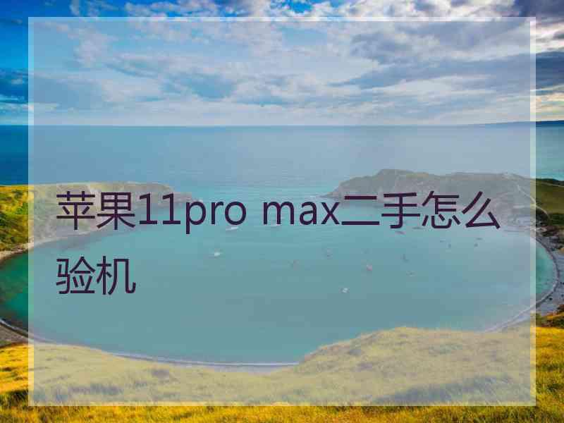 苹果11pro max二手怎么验机