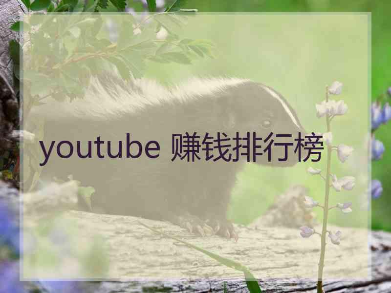 youtube 赚钱排行榜