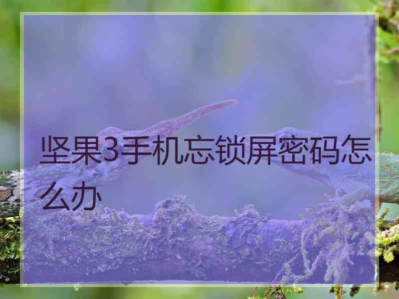 坚果3手机忘锁屏密码怎么办