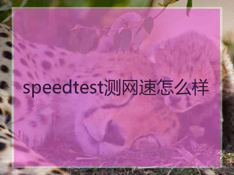 speedtest测网速怎么样