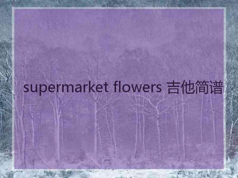 supermarket flowers 吉他简谱