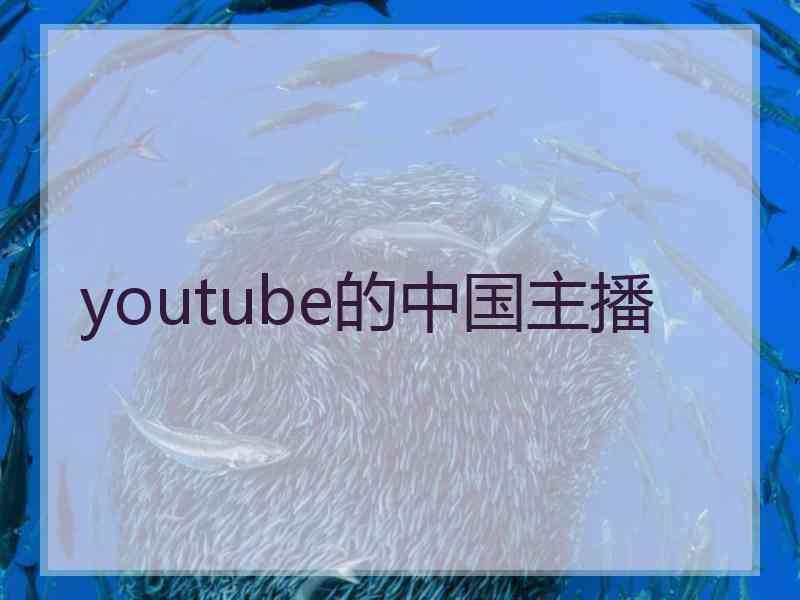 youtube的中国主播