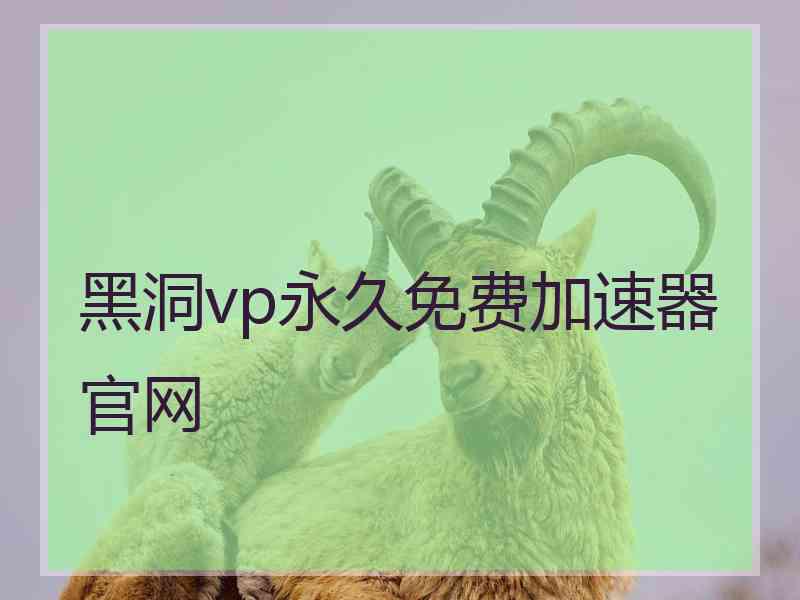 黑洞vp永久免费加速器官网