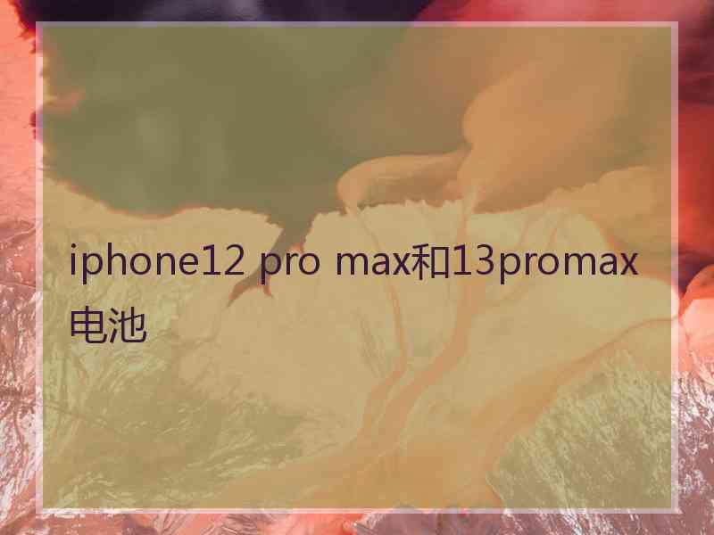 iphone12 pro max和13promax电池