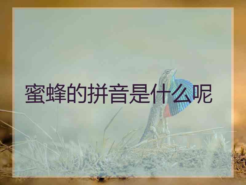 蜜蜂的拼音是什么呢