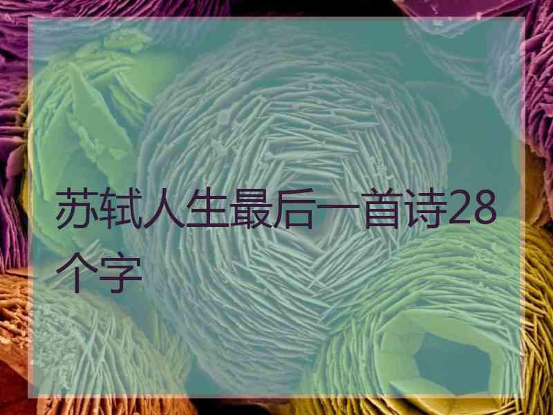 苏轼人生最后一首诗28个字