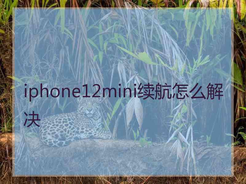 iphone12mini续航怎么解决