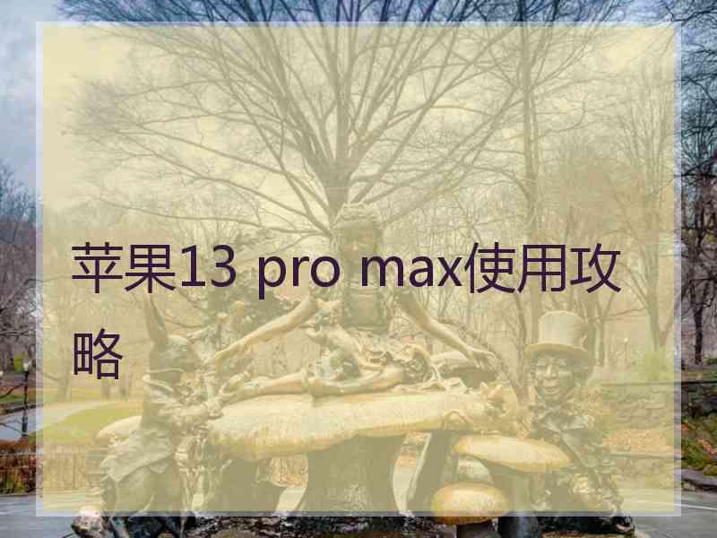 苹果13 pro max使用攻略