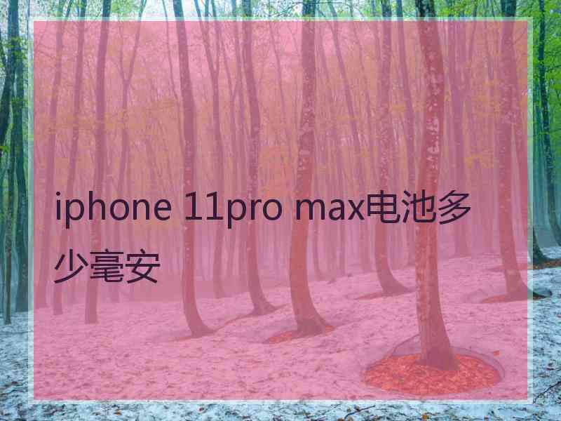 iphone 11pro max电池多少毫安