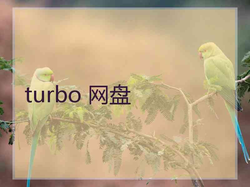 turbo 网盘