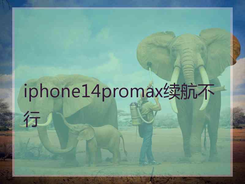 iphone14promax续航不行