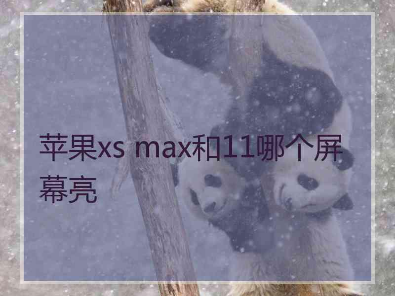 苹果xs max和11哪个屏幕亮