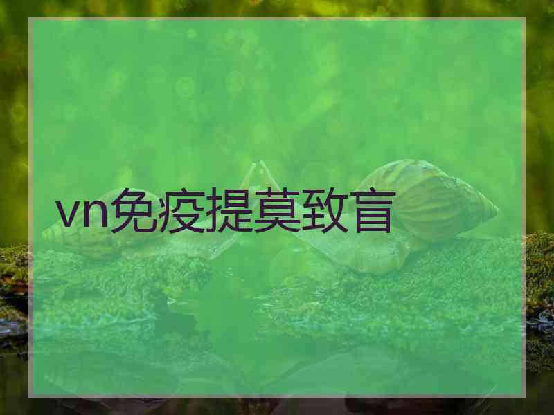 vn免疫提莫致盲