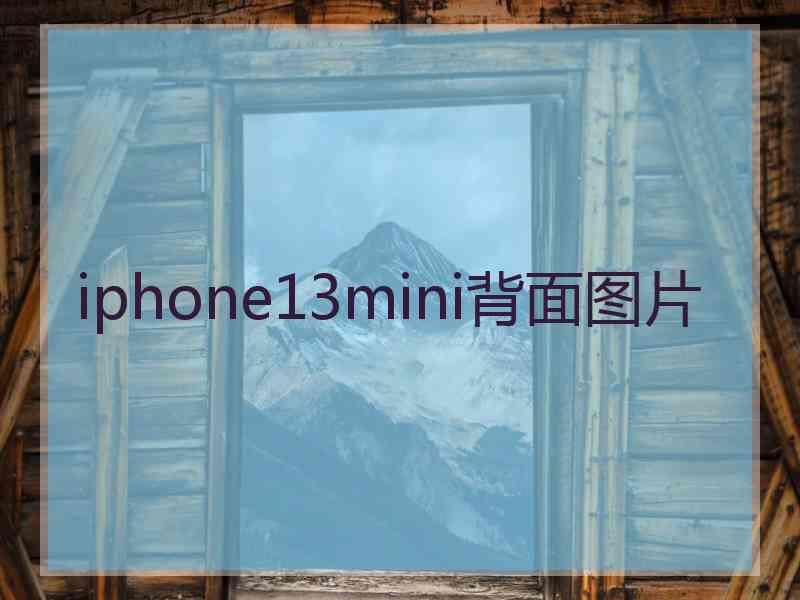 iphone13mini背面图片