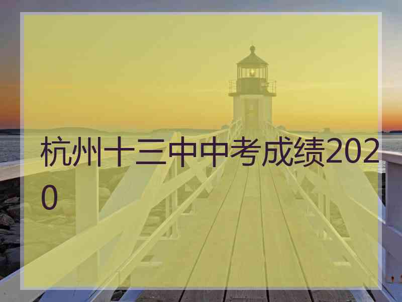 杭州十三中中考成绩2020