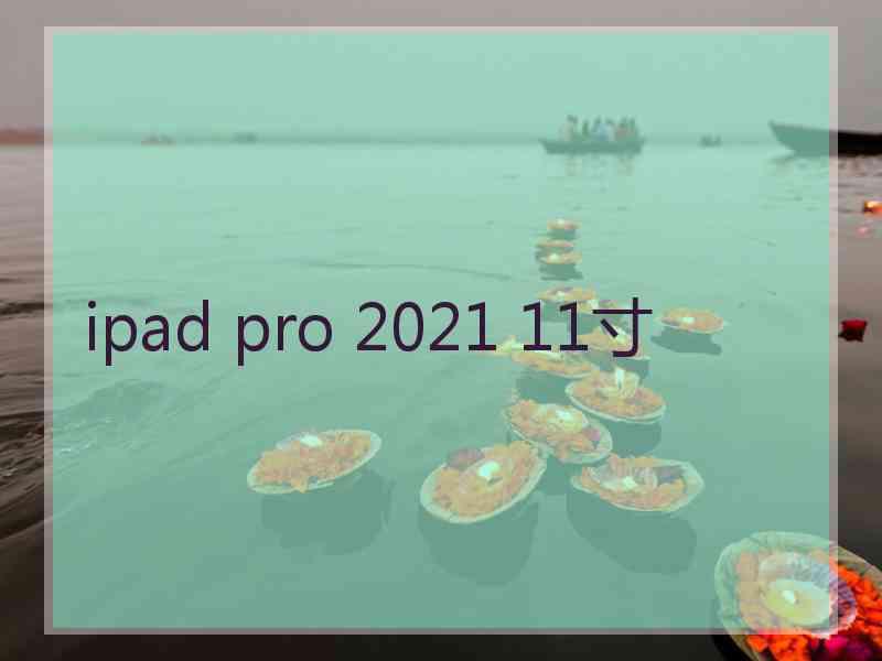 ipad pro 2021 11寸