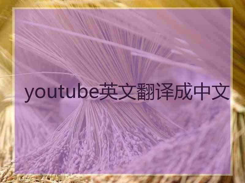 youtube英文翻译成中文