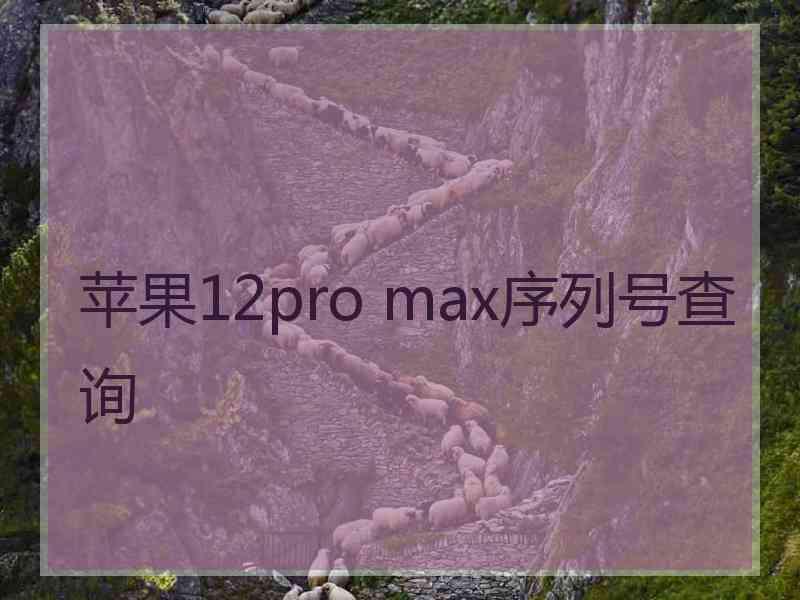 苹果12pro max序列号查询