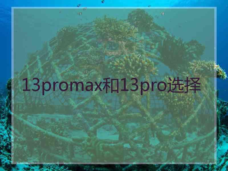 13promax和13pro选择