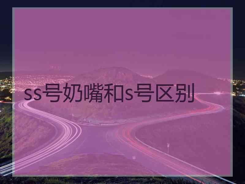 ss号奶嘴和s号区别