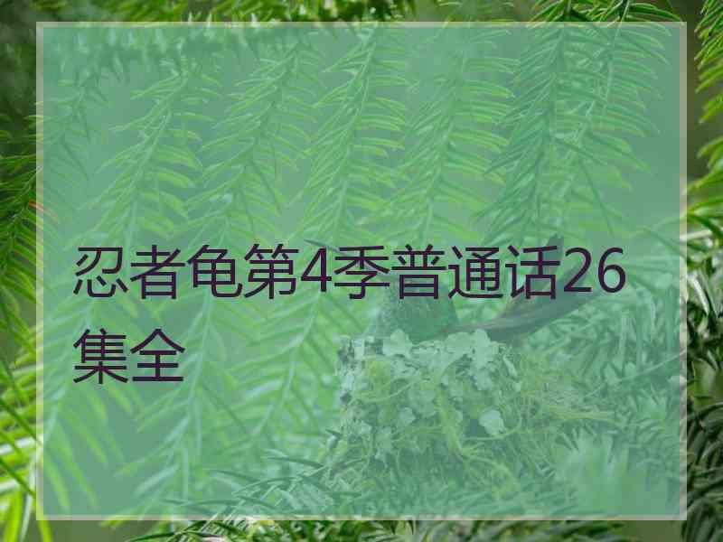 忍者龟第4季普通话26集全