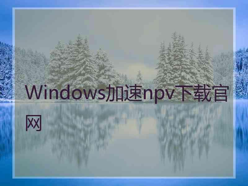 Windows加速npv下载官网