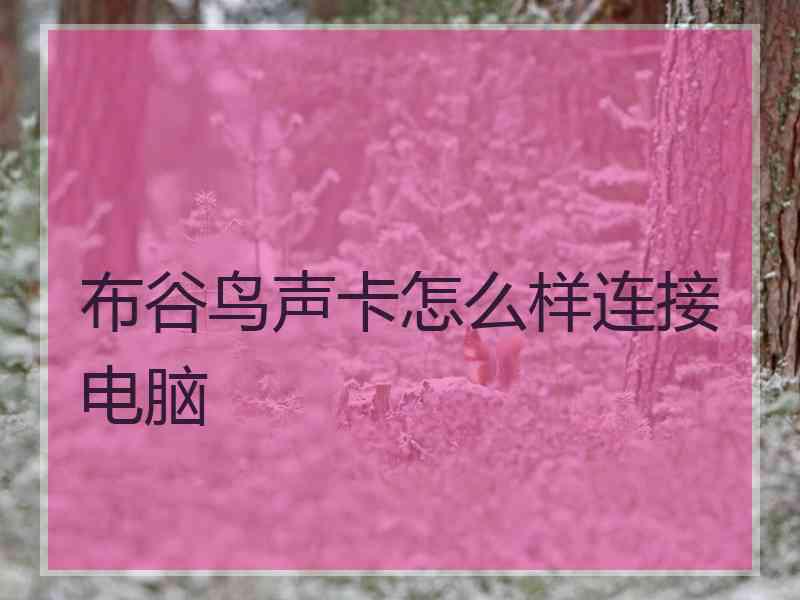 布谷鸟声卡怎么样连接电脑