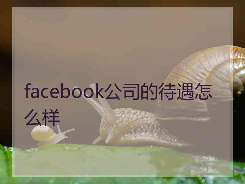 facebook公司的待遇怎么样