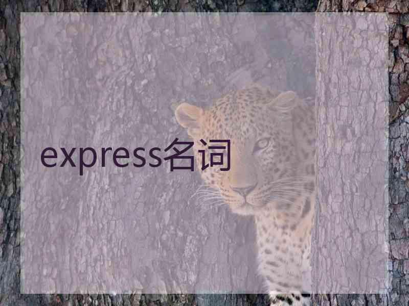 express名词