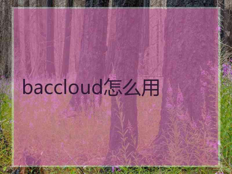 baccloud怎么用