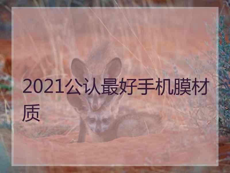 2021公认最好手机膜材质